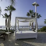 Palm & Larnaca