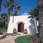 Palm &