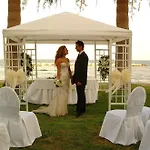Resort Palm &