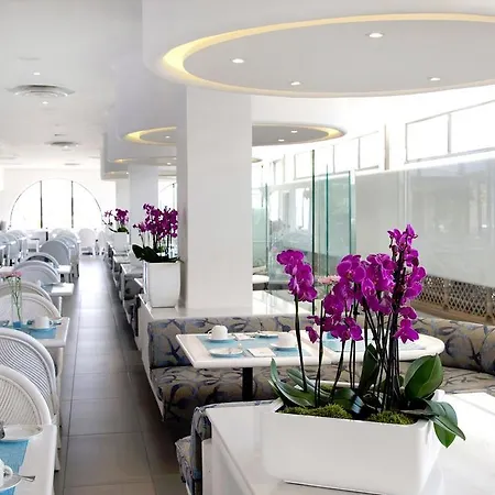 Palm & Resort 4*