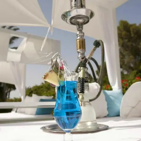 Resort Palm & Larnaca