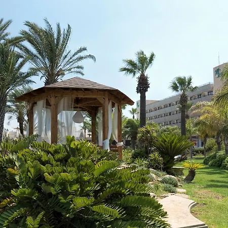 Palm &