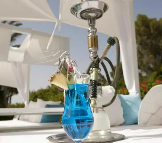 Resort Palm & Larnaca