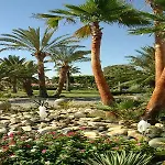 Palm & Complex Larnaca