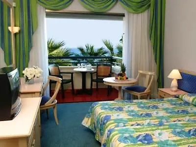 Palm & Larnaca
