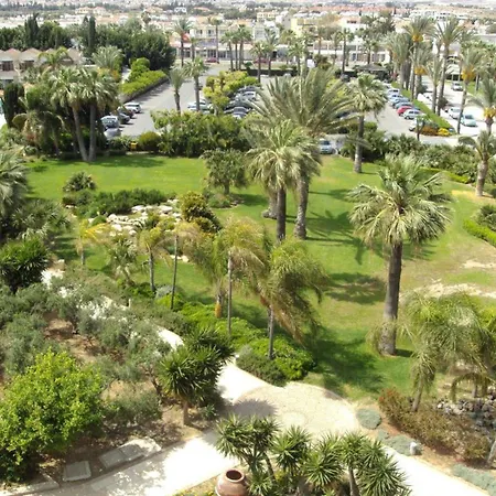 Palm & Larnaca
