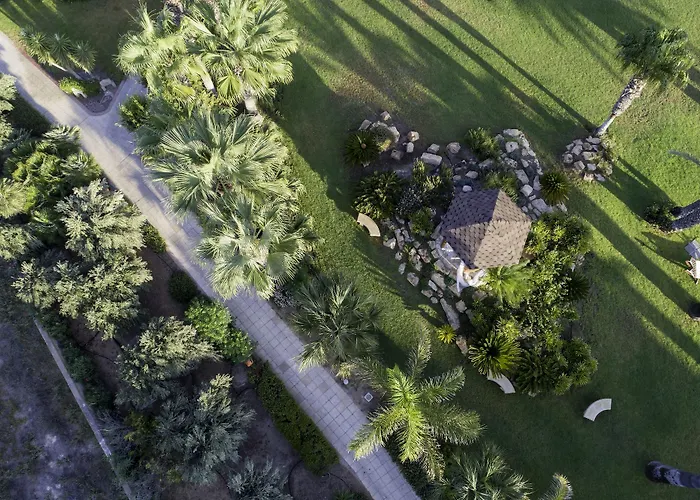 Complex Palm & Larnaca