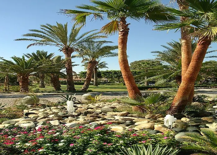 Palm & Complex Larnaca