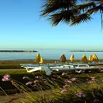 Resort Palm & 4*
