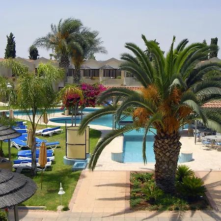 Palm & 4*