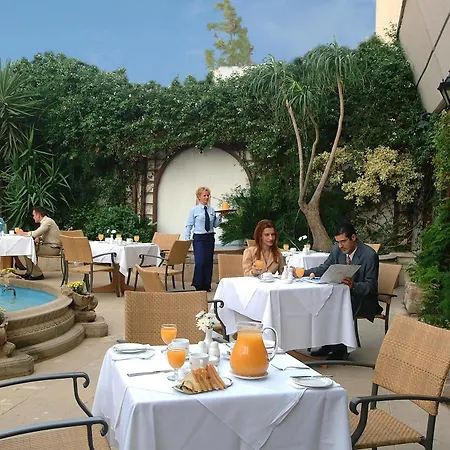 Palm & Larnaca
